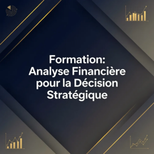 Formation: Analyse Financière pour la Décision Stratégique